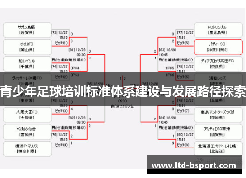 青少年足球培训标准体系建设与发展路径探索