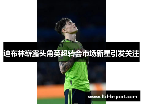 迪布林崭露头角英超转会市场新星引发关注