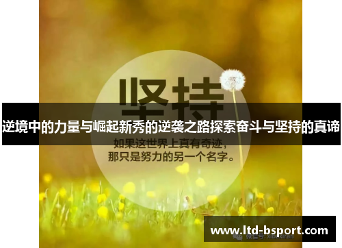 逆境中的力量与崛起新秀的逆袭之路探索奋斗与坚持的真谛