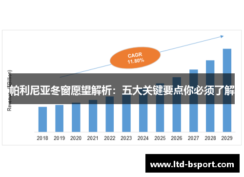 帕利尼亚冬窗愿望解析：五大关键要点你必须了解