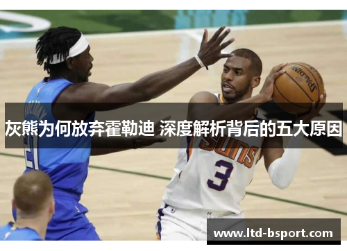 灰熊为何放弃霍勒迪 深度解析背后的五大原因