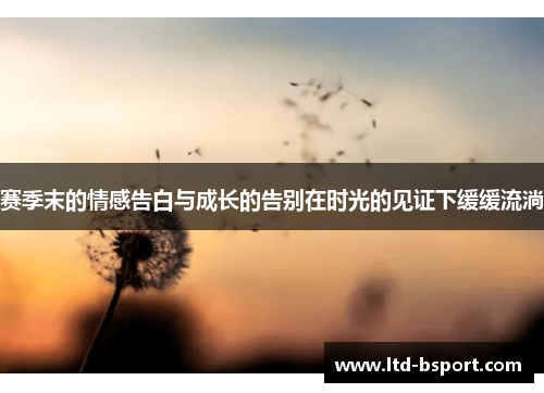 赛季末的情感告白与成长的告别在时光的见证下缓缓流淌